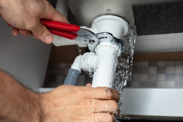 Best Professional water damage repair  in River Edge, NJ