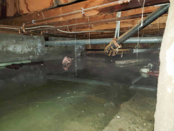 Water damage restoration experts in River Edge, NJ