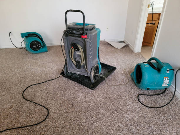 Best 24-hour water damage restoration  in River Edge, NJ