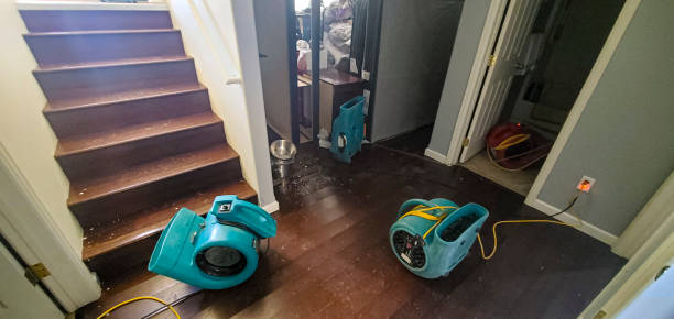 Professional Water damage restoration in River Edge, NJ