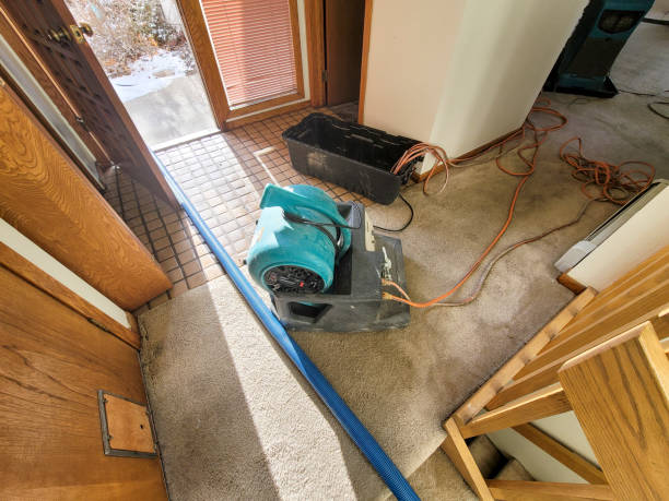 Best Flooded house restoration  in River Edge, NJ