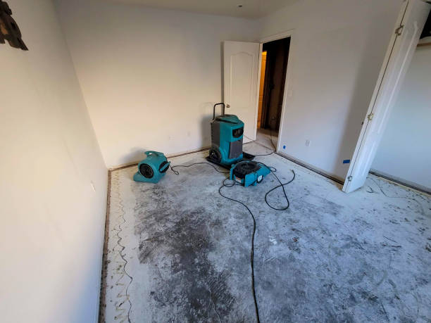 Best Mold removal after water damage  in River Edge, NJ