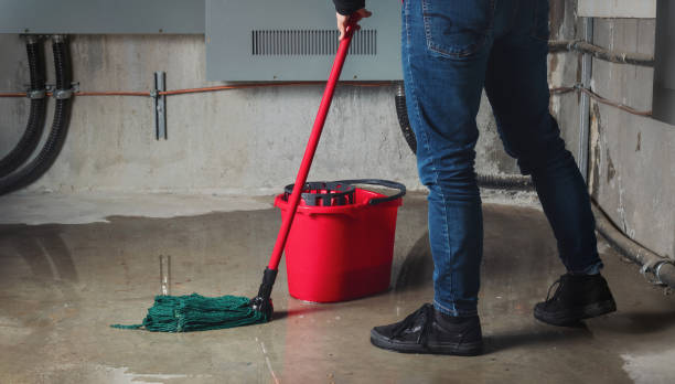 Best Commercial water damage restoration  in River Edge, NJ