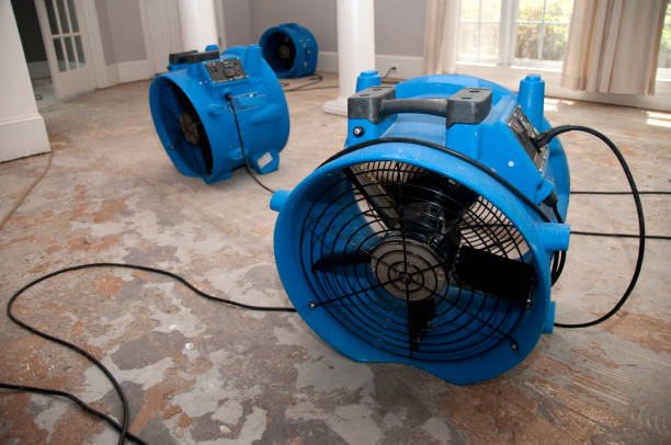 Best Sewage cleanup and water damage restoration  in River Edge, NJ