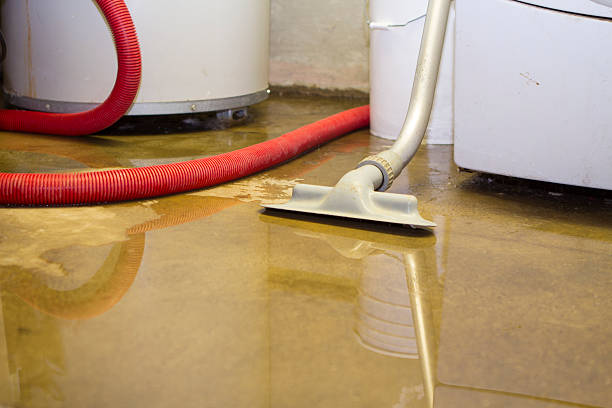 Best Water damage restoration mold remediation  in River Edge, NJ