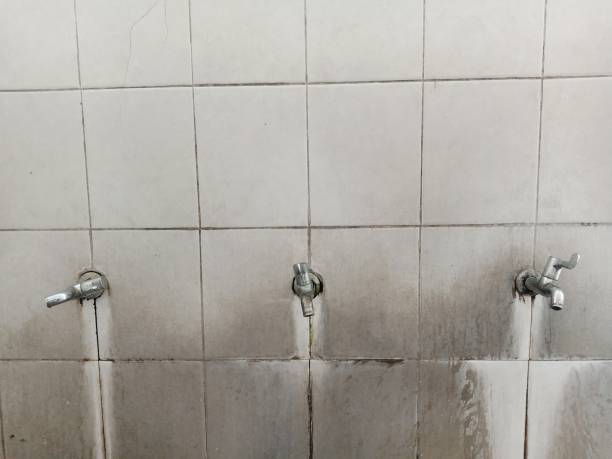 Best Water damage contractors near me  in River Edge, NJ
