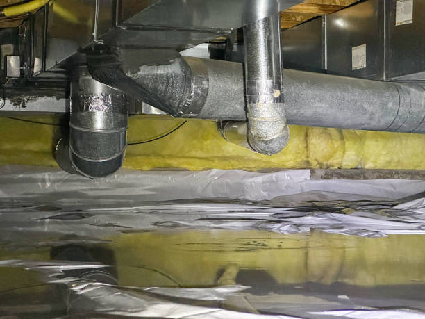 Best Water damage cleanup near me  in River Edge, NJ