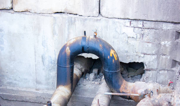 Best 24/7 water damage repair  in River Edge, NJ