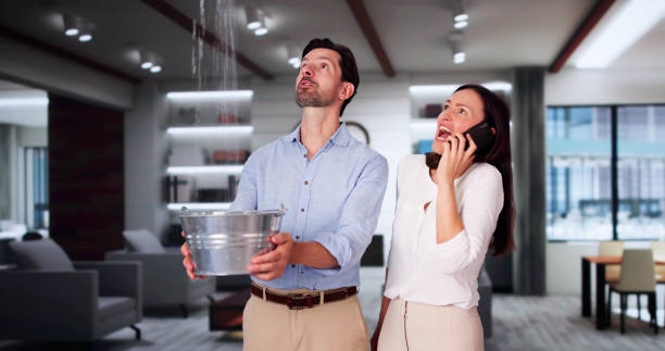 Best Carpet water damage restoration  in River Edge, NJ